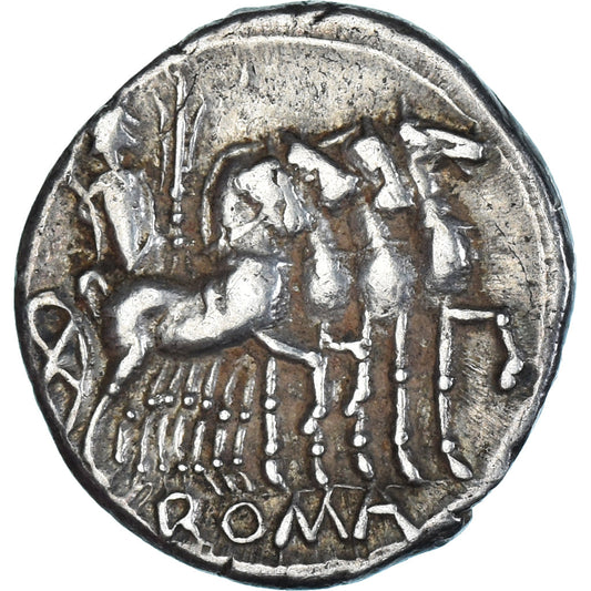 Acuñar, 
  
  Vargunteia, 
  
  Denario