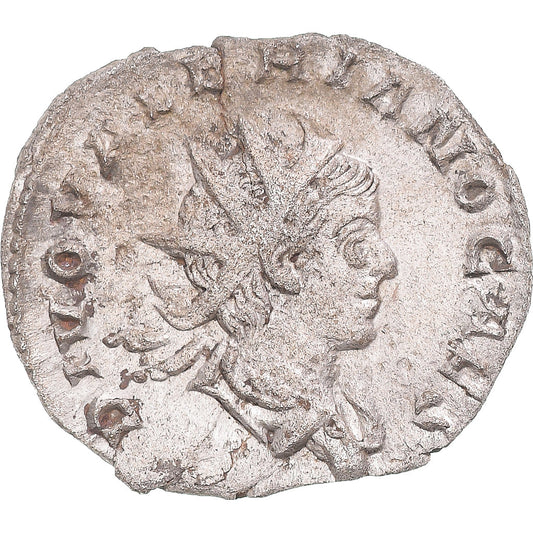 Acuñar, 
  
  Divus Valeriano II, 
  
  Antoniniano