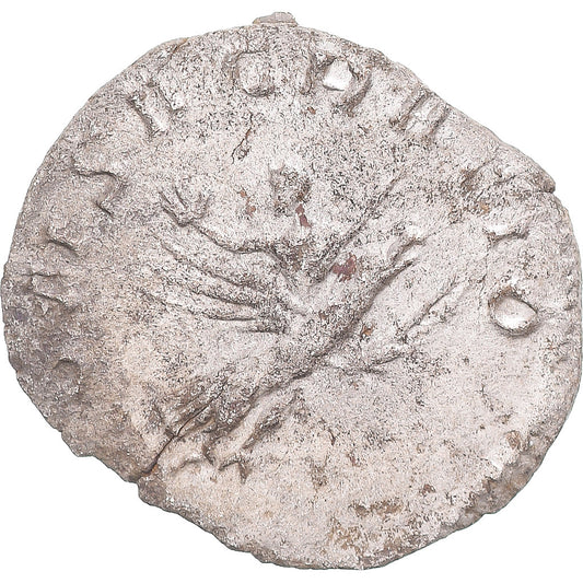 Acuñar, 
  
  Divus Valeriano II, 
  
  Antoniniano