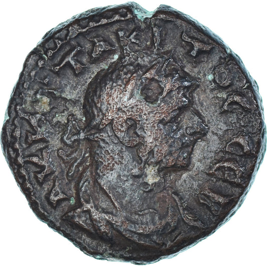 Moneda, Egipto, Tácito