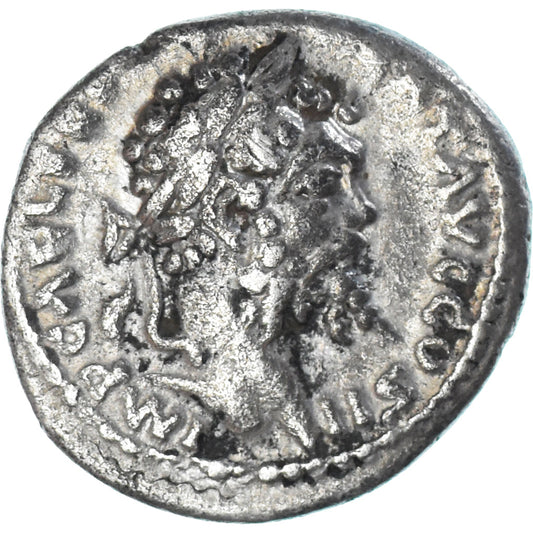 Septimio Severo, 
  
  Denario, 
  
  194-195