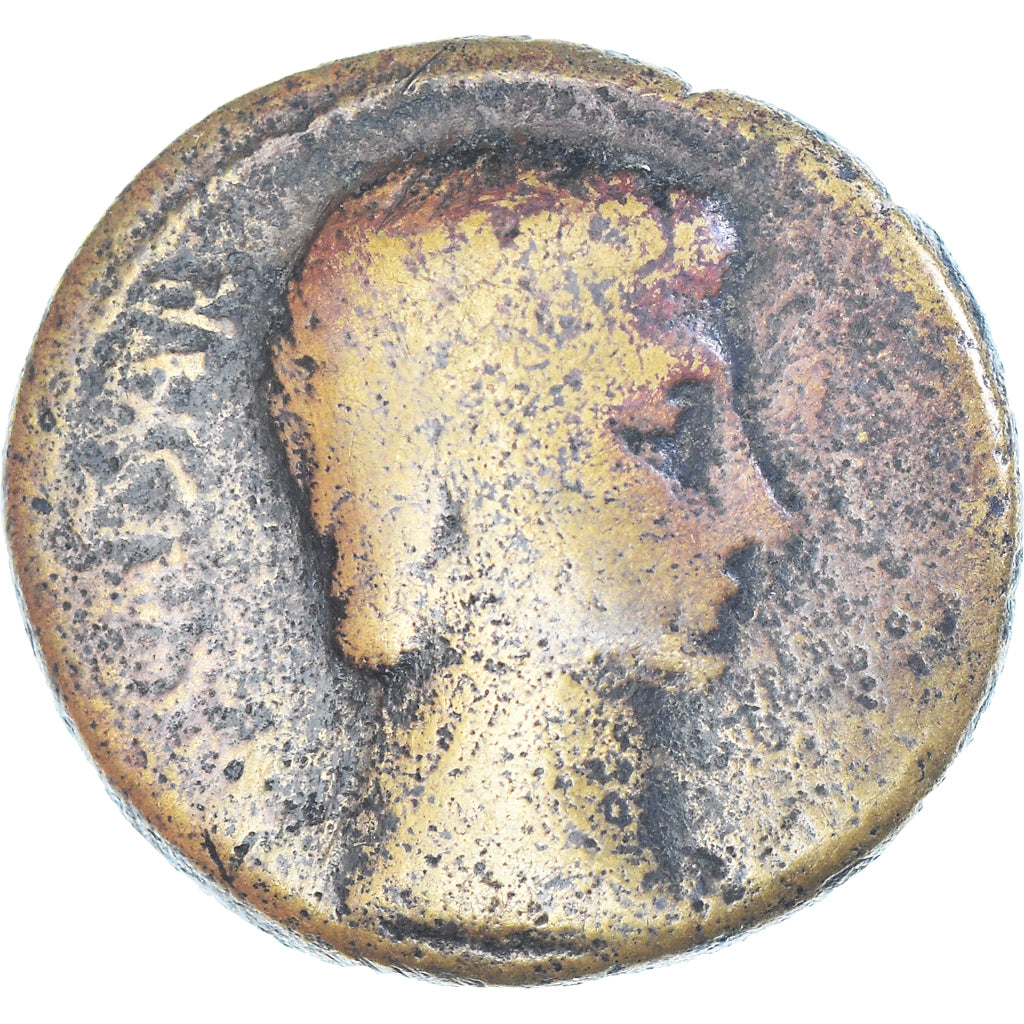 Acuñar, 
  
  Augusto, 
  
  Æ