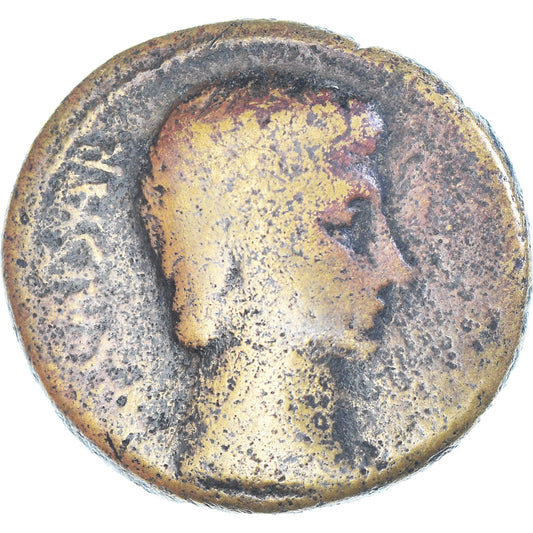 Acuñar, 
  
  Augusto, 
  
  Æ