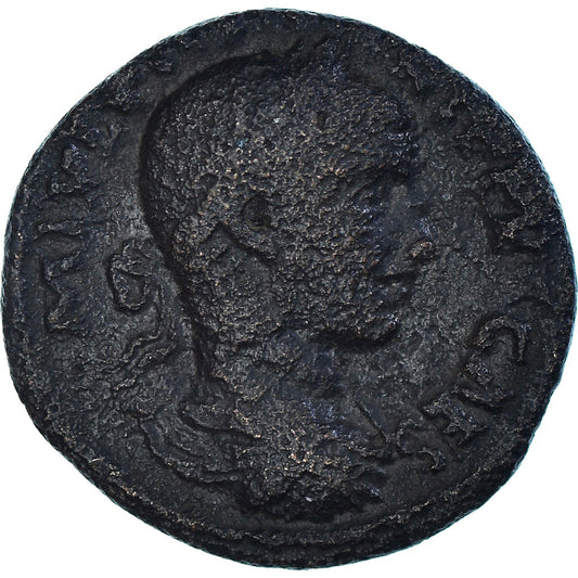 Acuñar, 
  
  Fenicia, 
  
  Æ