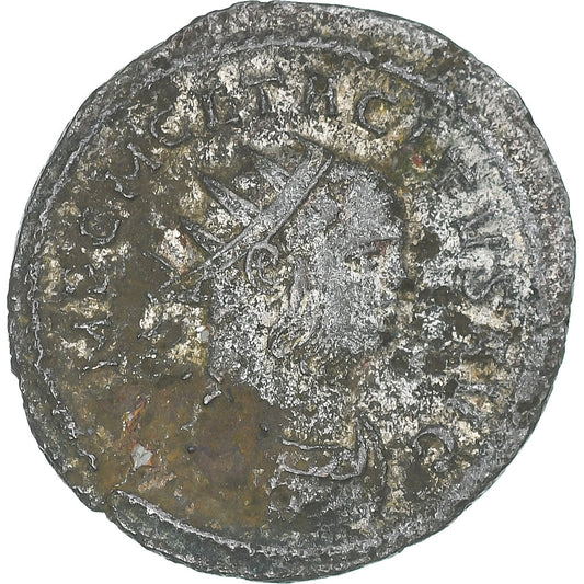 Tácito, 
  
  Aureliano, 
  
  275-276