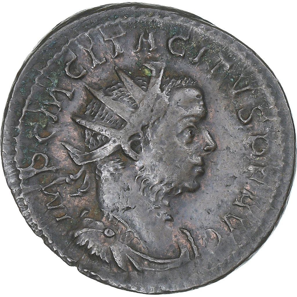 Tácito, 
  
  Antoniniano, 
  
  275-276