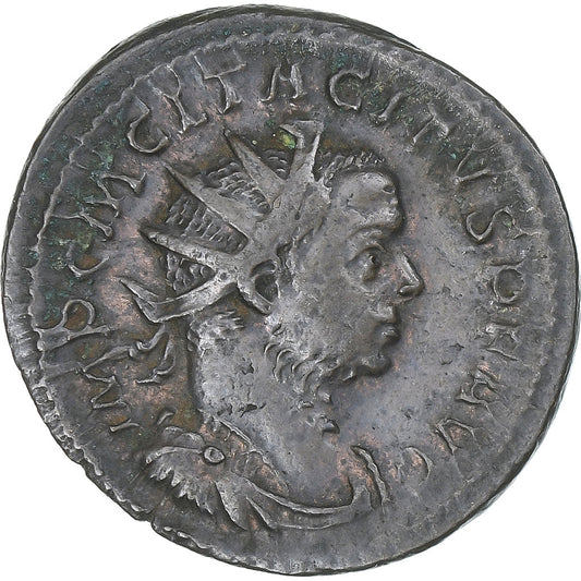 Tácito, 
  
  Antoniniano, 
  
  275-276