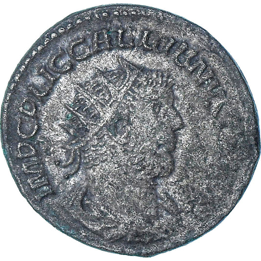 Galieno, 
  
  Antoniniano, 
  
  255-256