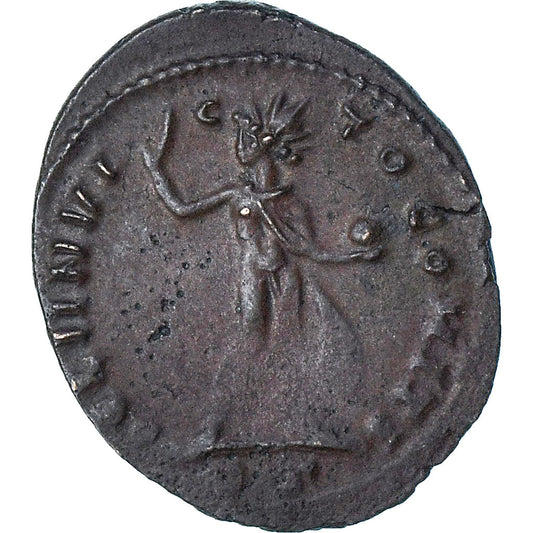 Maximino II, 
  
  Follis, 
  
  310-313