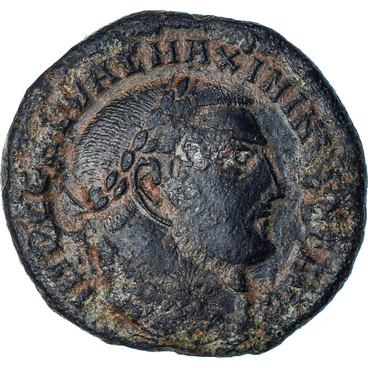 Maximino II, 
  
  Follis, 
  
  310-311