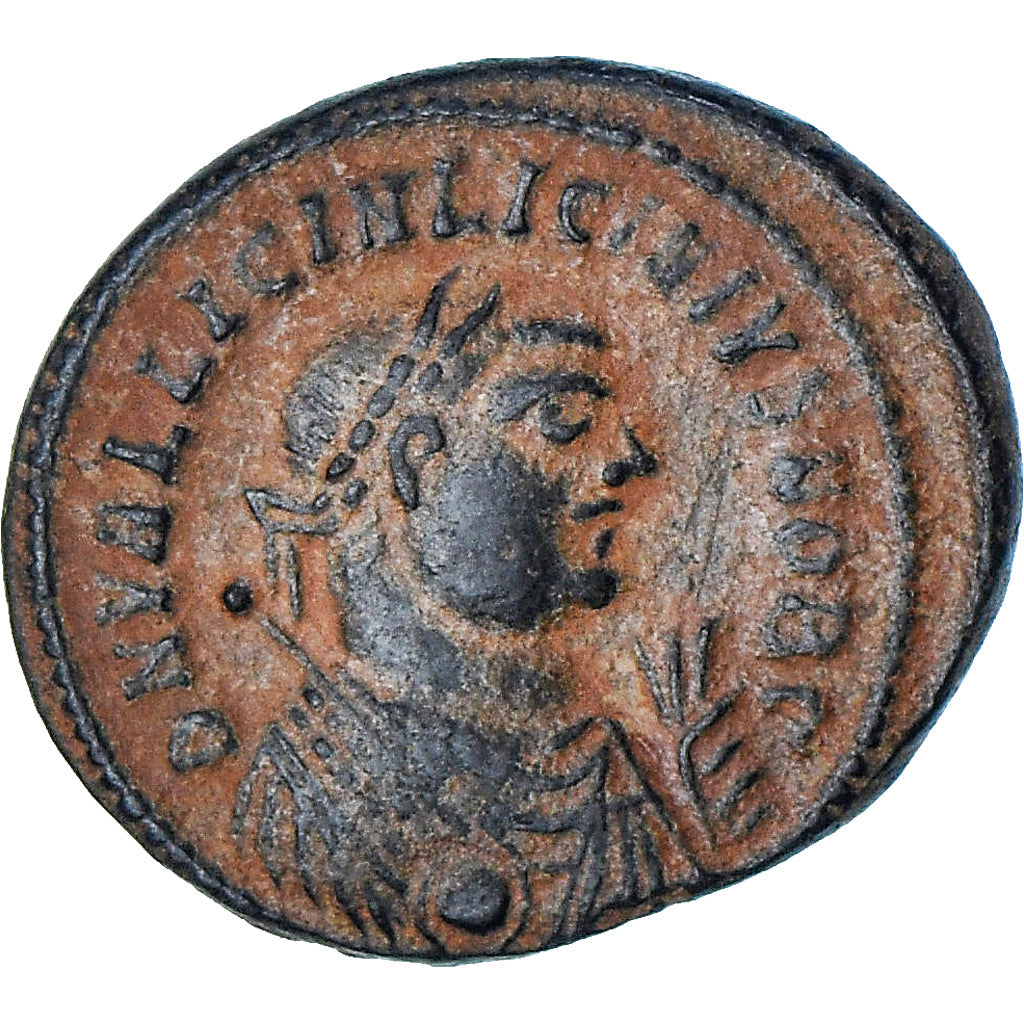 Licinio II, 
  
  Follis, 
  
  318-320