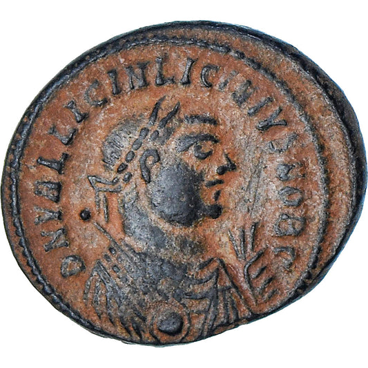 Licinio II, 
  
  Follis, 
  
  318-320