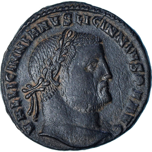 Licinio I, 
  
  Follis, 
  
  309-310