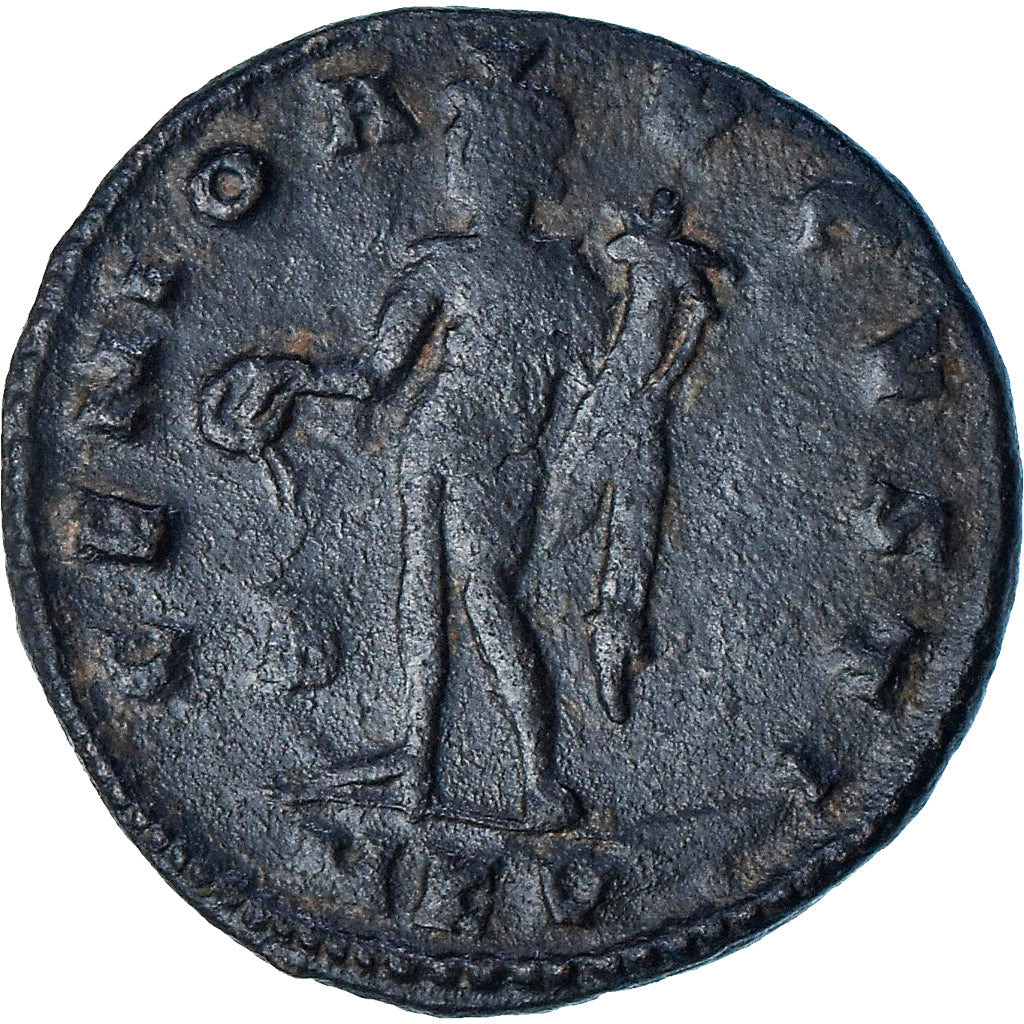 Licinio I, 
  
  Follis, 
  
  309-310