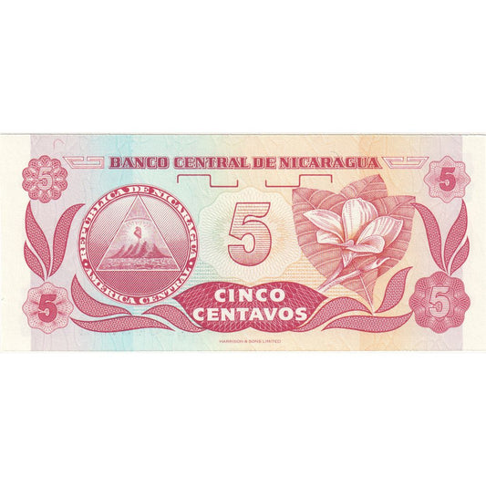 Nicaragua, 
  
  5 Centavos, 
  
  Sin fecha (1991)