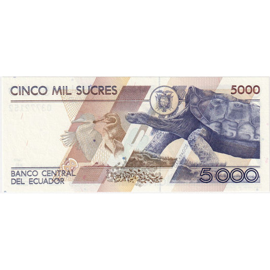 Ecuador, 
  
  5000 Sucres, 
  
  1999-03-26