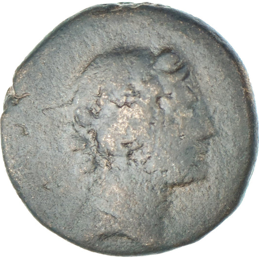Seleucis y Pieria, 
  
  Pseudoautónoma, 
  
  Æ