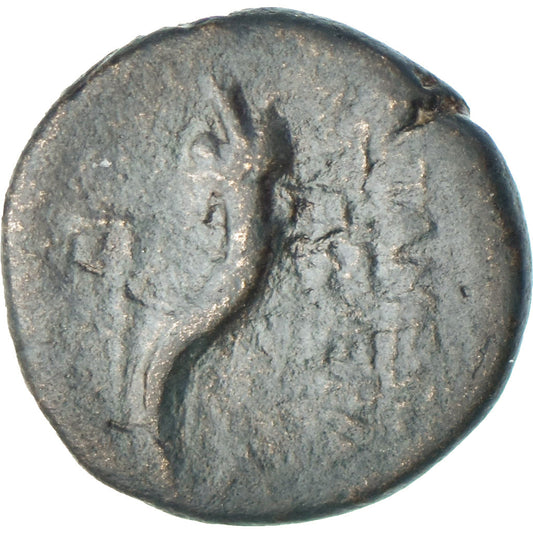 Seleucis y Pieria, 
  
  Pseudoautónoma, 
  
  Æ