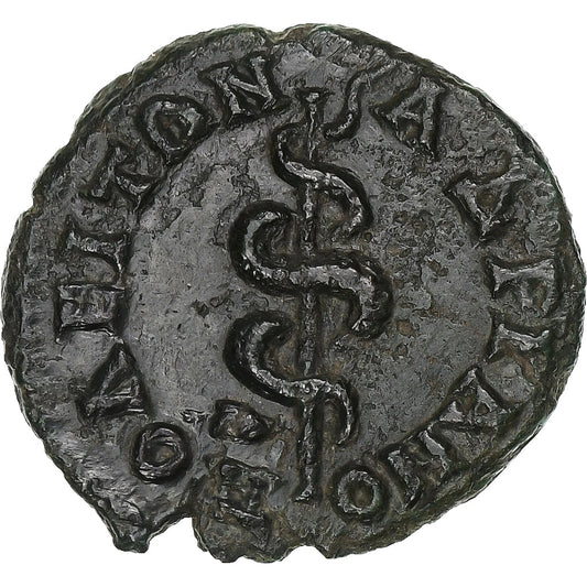 Tracia,

Caracalla,

Æ
