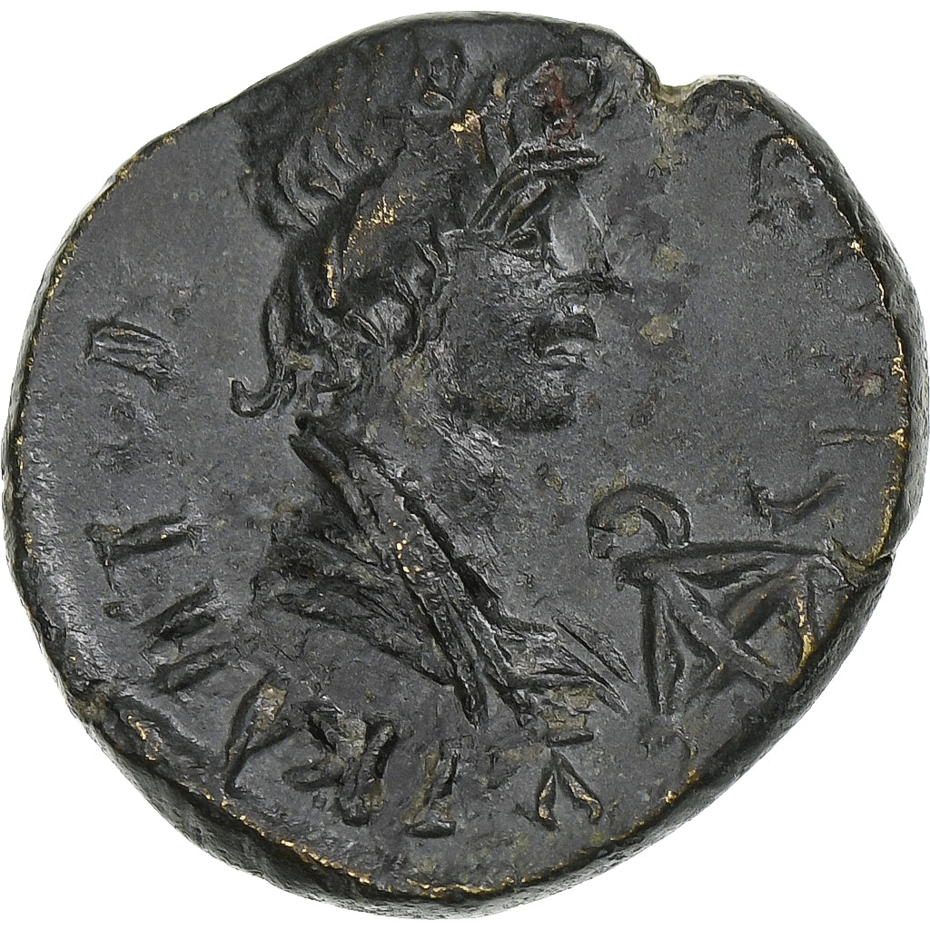 misia, 
  
  Pseudoautónoma, 
  
  Æ