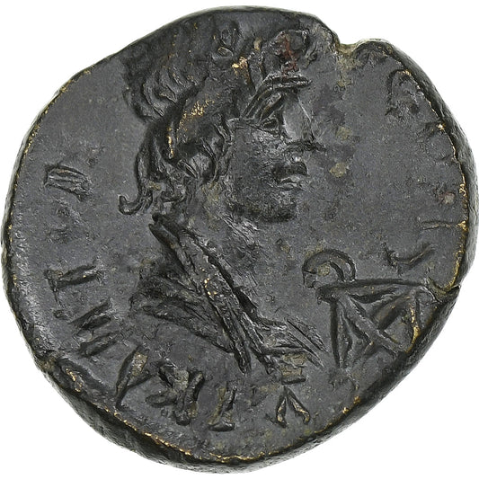 misia, 
  
  Pseudoautónoma, 
  
  Æ