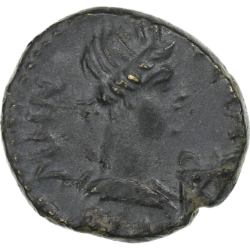 misia, 
  
  Pseudoautónoma, 
  
  Æ