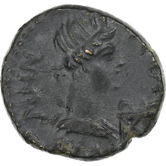 misia, 
  
  Pseudoautónoma, 
  
  Æ