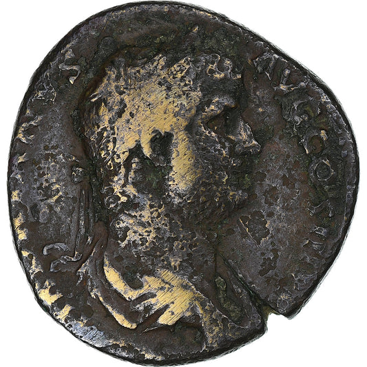 Adriano, 
  
  Sestercio, 
  
  133-135
