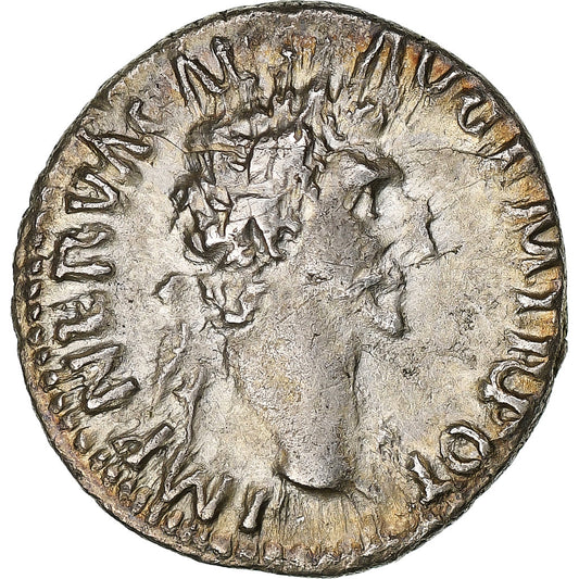 nervio, 
  
  Denario, 
  
  97