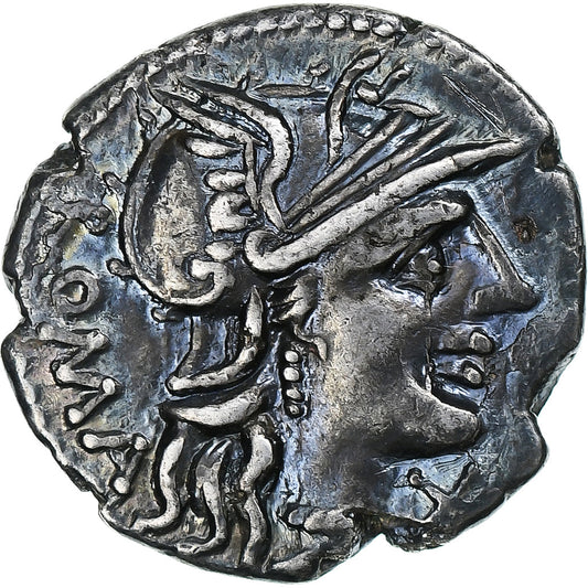 Minucía, 
  
  Denario, 
  
  135 a.C.