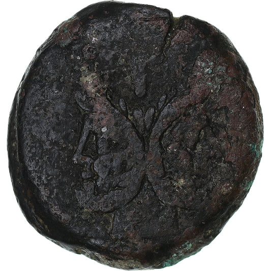 Junia,

As,

149 a. C.