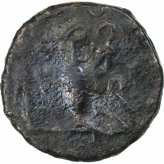 ¿Tétrico II?, 
  
  Antoniniano, 
  
  271-274