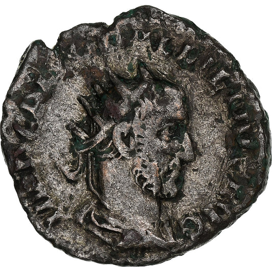 Galieno, 
  
  Antoniniano, 
  
  253