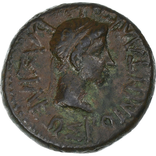 Rhoemetalkes I y Augusto, 

E de Bronce, 

27 a. C.-14 d. C.