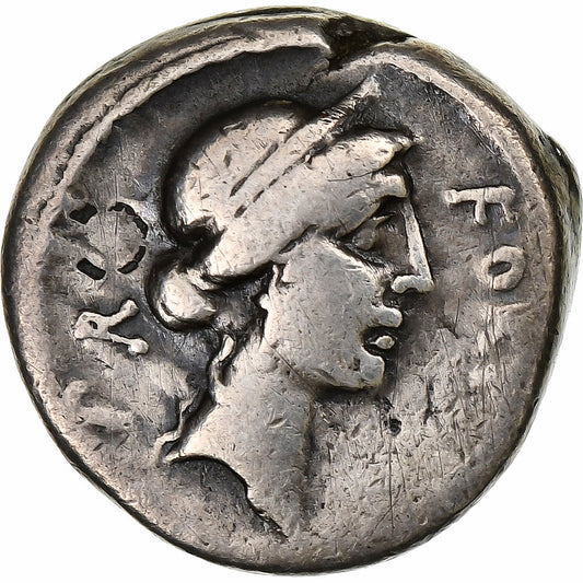Sicinia, 
  
  Denario, 
  
  49 a.C.