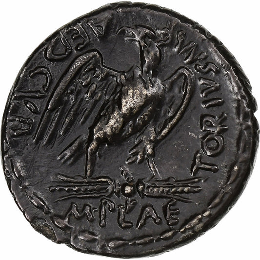 Plaetoria, 
  
  Denario, 
  
  67 a.C.