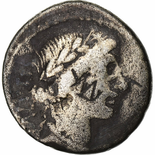 acilia, 
  
  Denario, 
  
  49 a.C.