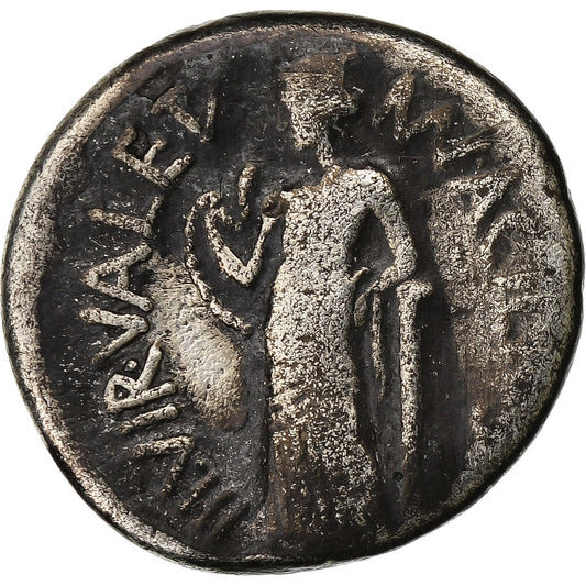 acilia, 
  
  Denario, 
  
  49 a.C.
