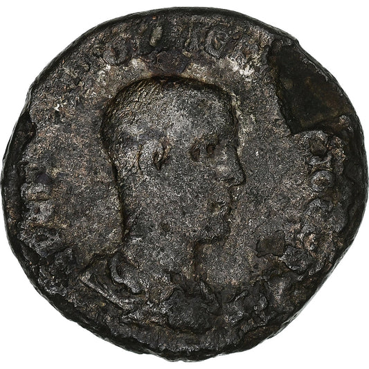 Seleucis y Pieria, 
  
  Herenio Etrusco, 
  
  tetradracma