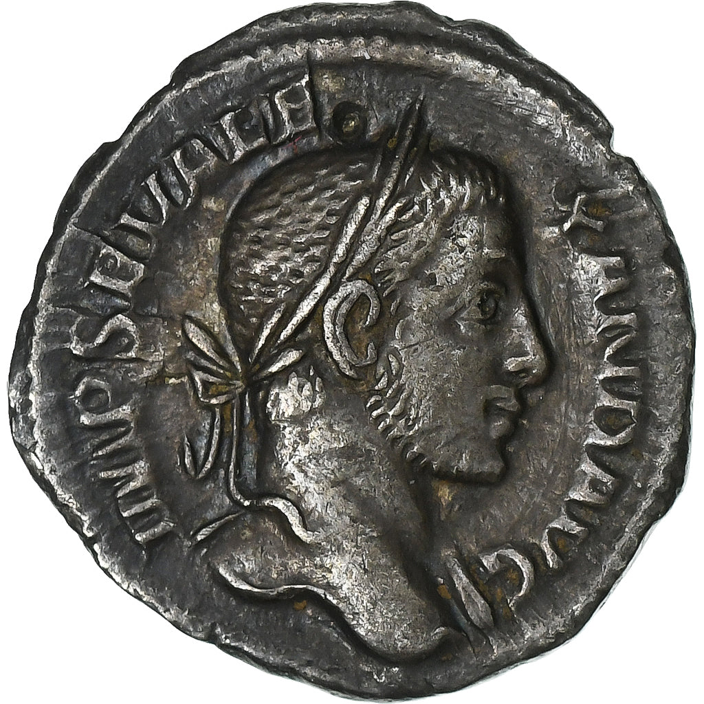 Severo Alejandro, 
  
  Denario, 
  
  229