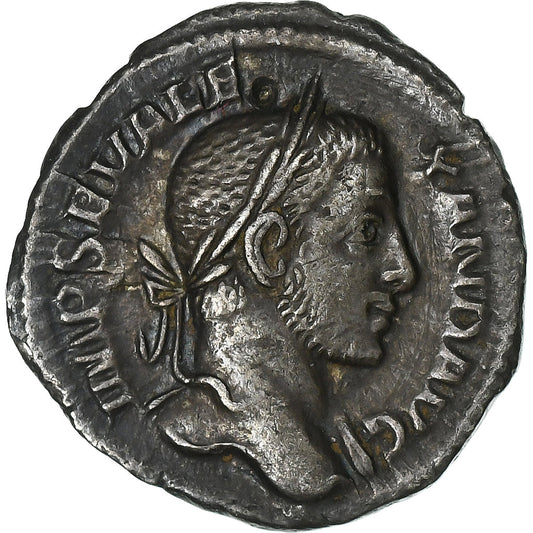 Severo Alejandro, 
  
  Denario, 
  
  229
