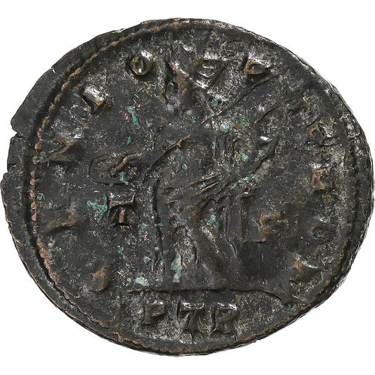 Licinio I, 
  
  Follis, 
  
  310-313