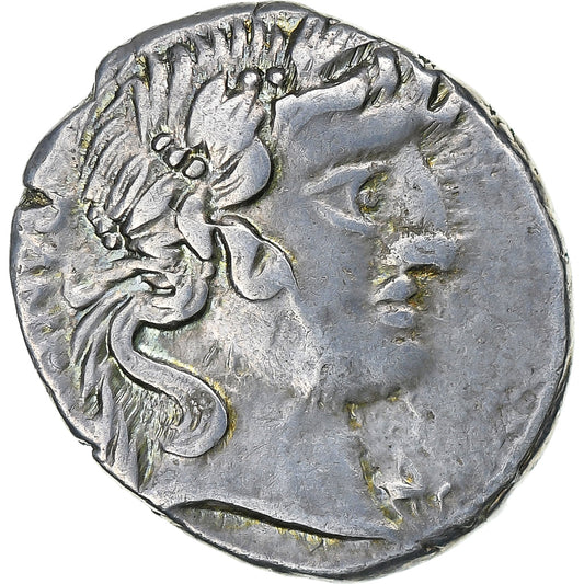 vibia, 
  
  Denario, 
  
  90 a.C.