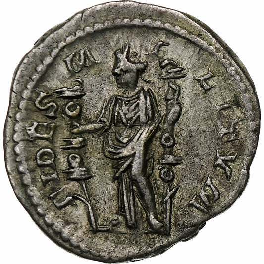 Severo Alejandro, 
  
  Denario, 
  
  255