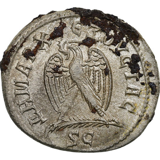 Seleucis y Pieria, 
  
  Otacilia Severa, 
  
  tetradracma