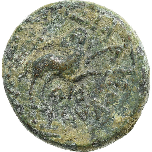 Seleucis y Pieria, 
  
  Augusto, 
  
  Æ Unidad