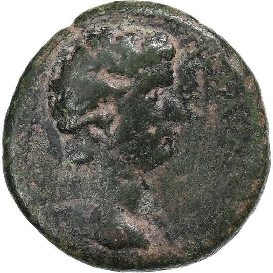 lidia, 
  
  Claudio con Agripina II, 
  
  Æ Unidad