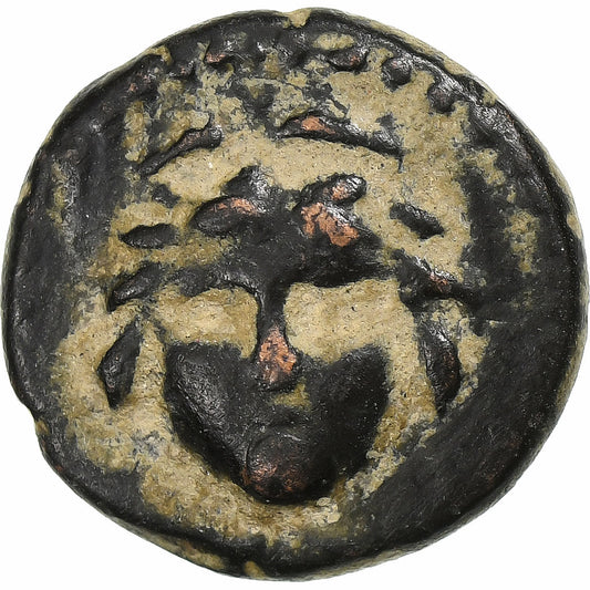 licaonia, 
  
  Vespasiano, 
  
  Æ Unidad