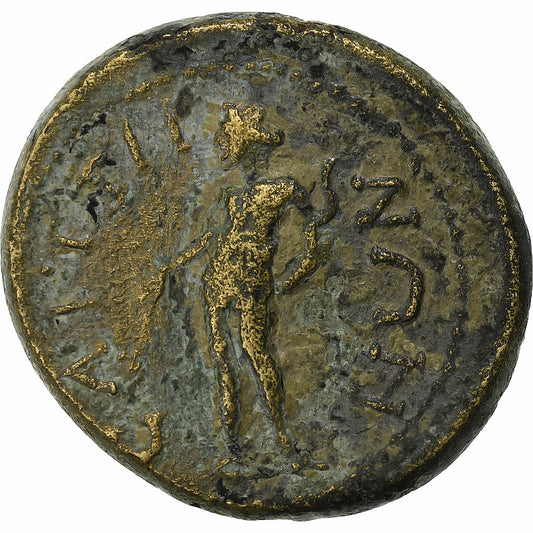 lidia, 
  
  Æ Unidad, 
  
  138-192