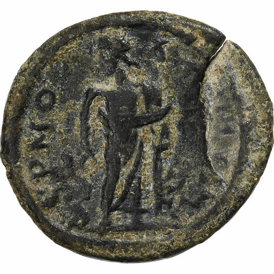 lidia, 
  
  Septimio Severo, 
  
  Æ Unidad